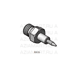HGS