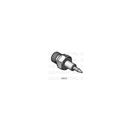 HGS