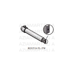 REST-HGS-TL-TW