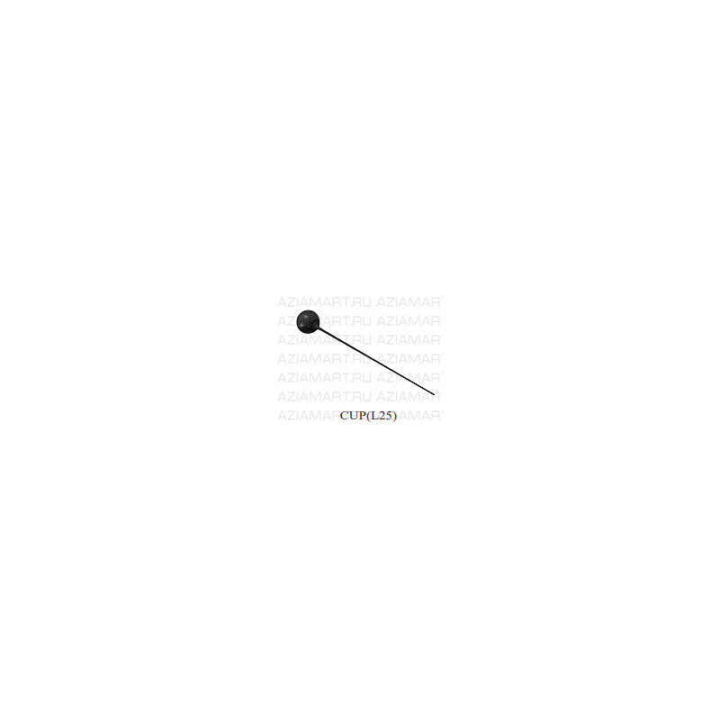 CUP(L25)