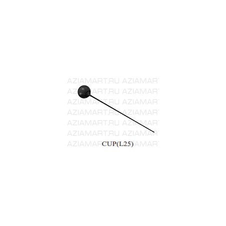 CUP(L25)